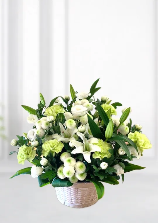 白色の枕花