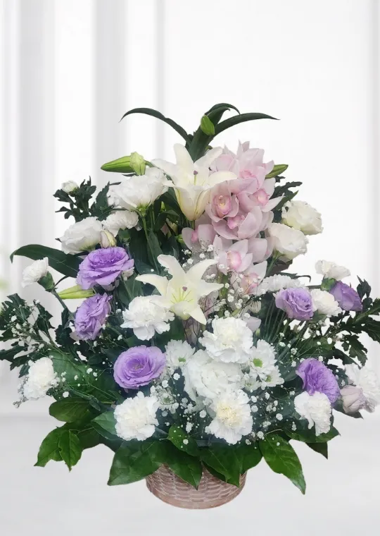 白色と紫色の枕花